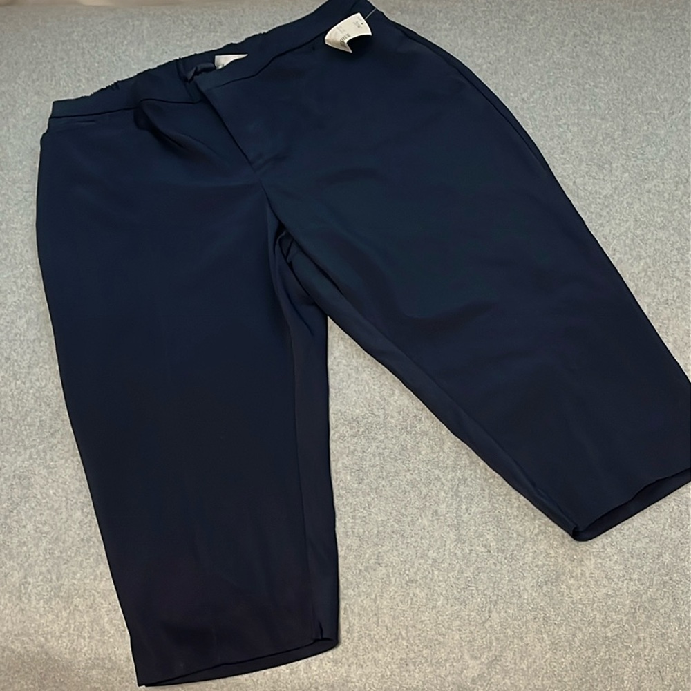 Catherines Capri Pants Size 20 W Blue Modern Stretch Coastal Comfort Cropped